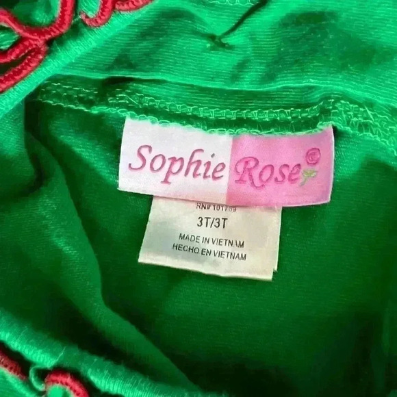 Sophie Rose Christmas Gingerbread Dress 3T - Picture 4 of 7